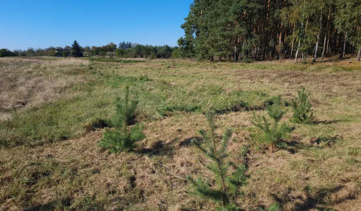 Działka budowlana Potok