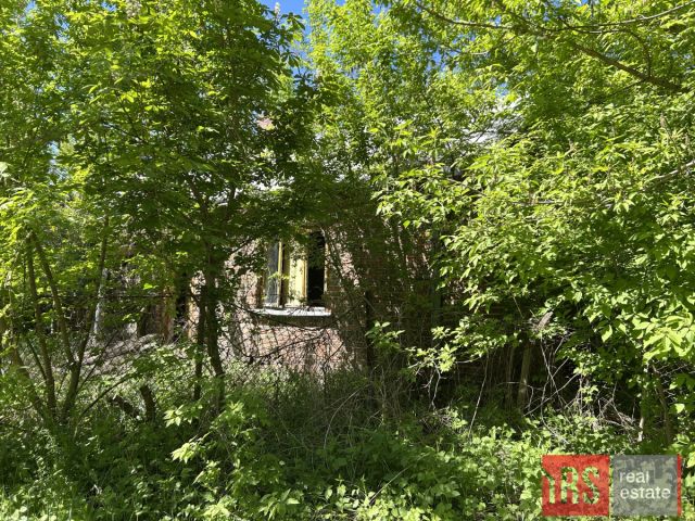 Działka rolna Wola Pasikońska. Zdjęcie 2