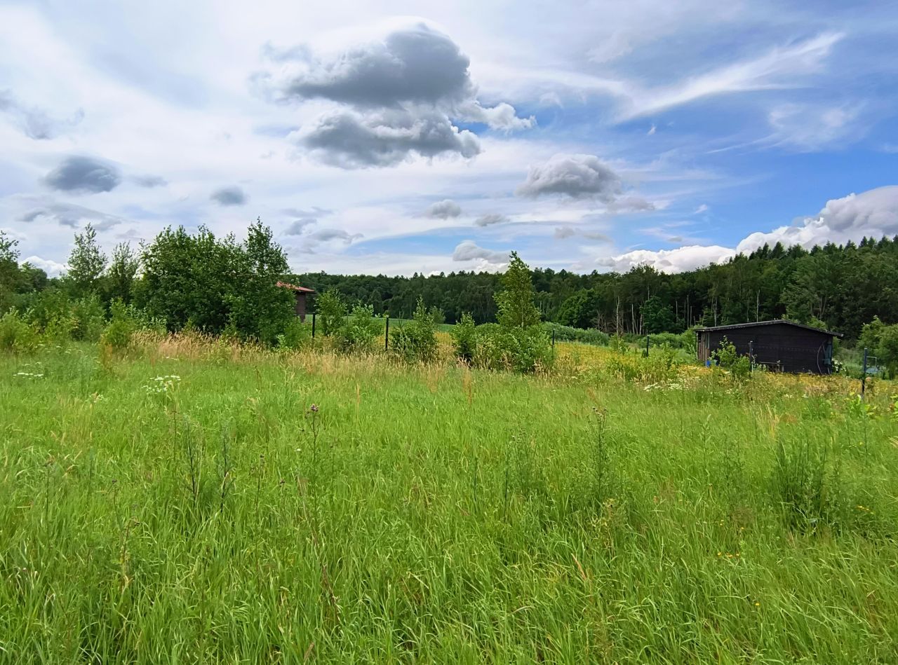 Działka rekreacyjna Głodowo. Zdjęcie 4