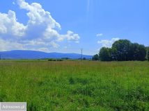 Działka rolna Domaszków, ul. Śnieżna