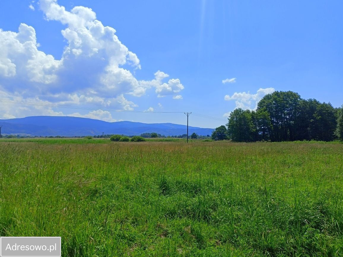 Działka rolna Domaszków, ul. Śnieżna