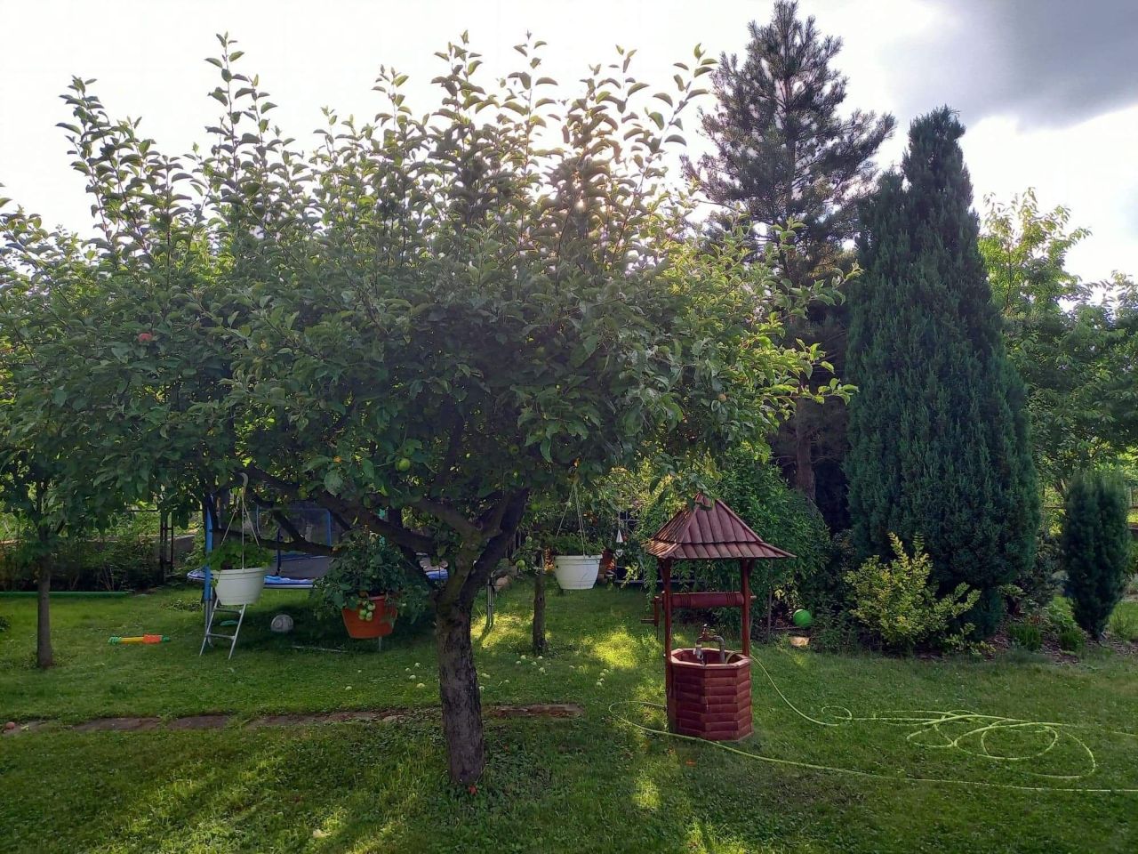 Działka rod Lubin. Zdjęcie 5