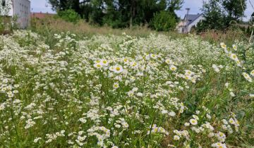 Działka rolno-budowlana Sobków, ul. Długa
