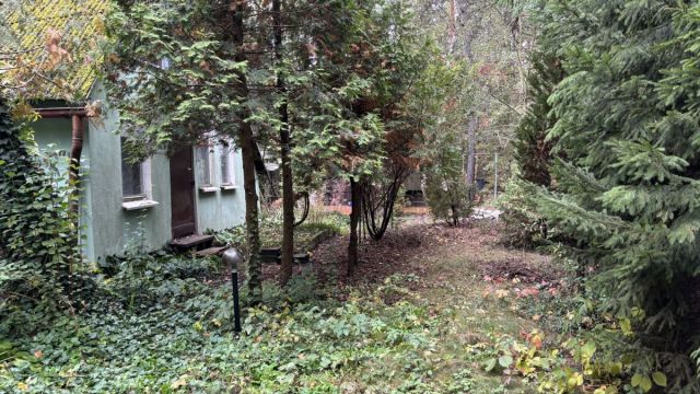 Działka inwestycyjna Dąbrowa Chotomowska. Zdjęcie 5