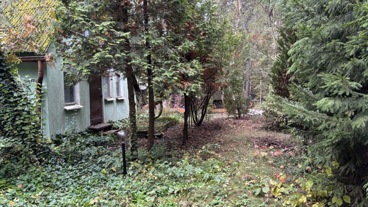 Działka inwestycyjna Dąbrowa Chotomowska. Zdjęcie 5