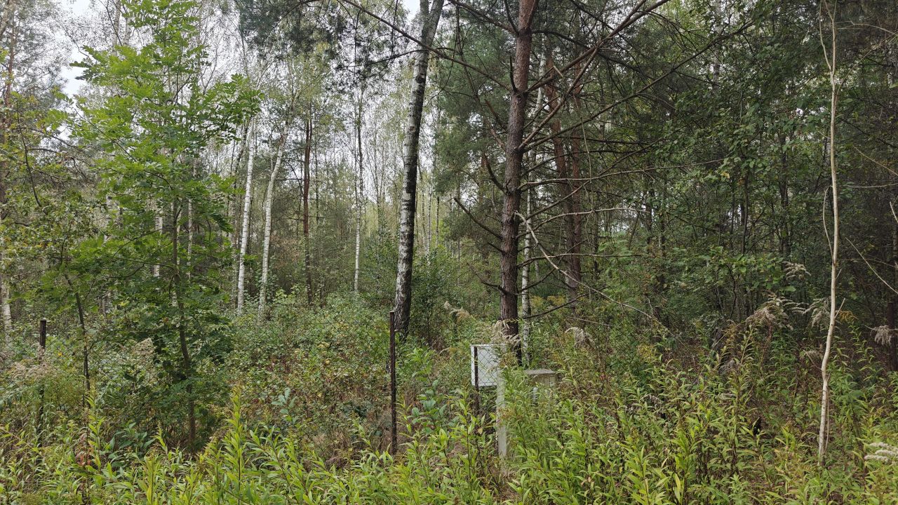 Działka budowlana Nowe Chrusty, ul. Klonowa. Zdjęcie 2