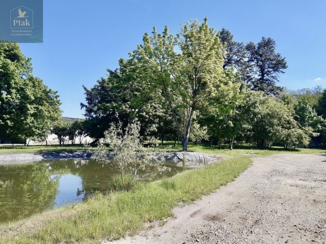 Działka budowlana Luciny. Zdjęcie 13