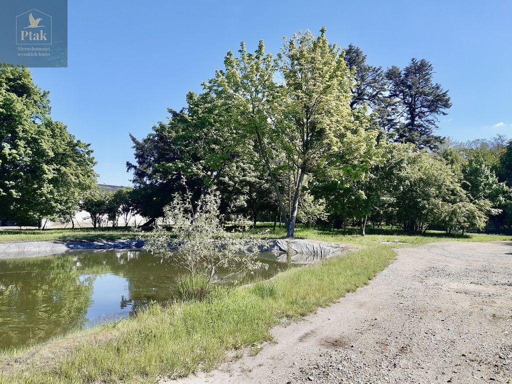 Działka budowlana Luciny. Zdjęcie 13