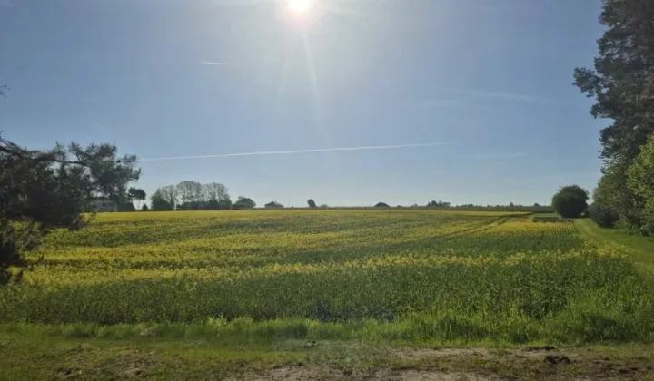 Działka budowlana Terpentyna