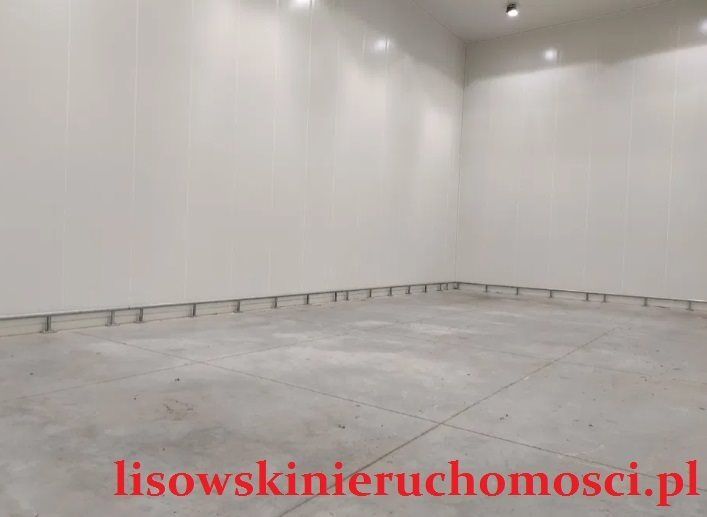 Hala/magazyn Stemplew. Zdjęcie 4
