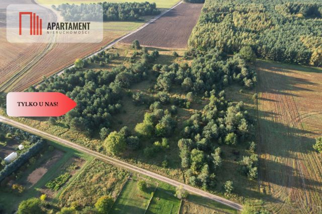 Działka budowlana Brzezie. Zdjęcie 1
