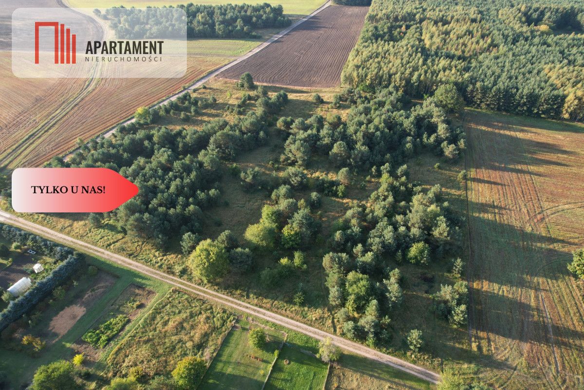 Działka budowlana Brzezie. Zdjęcie 1