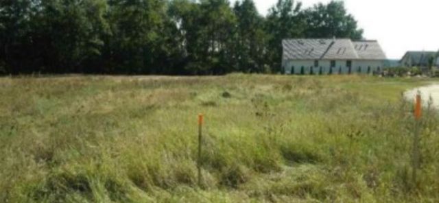 Działka inwestycyjna Zbylitowska Góra. Zdjęcie 1