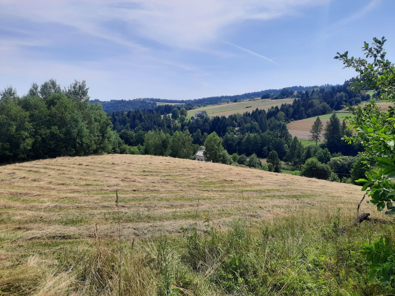 Działka rolno-budowlana Jastrzębia. Zdjęcie 10