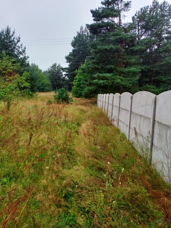 Działka rolno-budowlana Rzędkowice. Zdjęcie 4