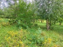 Działka rolna Stare Bolity. Zdjęcie 2