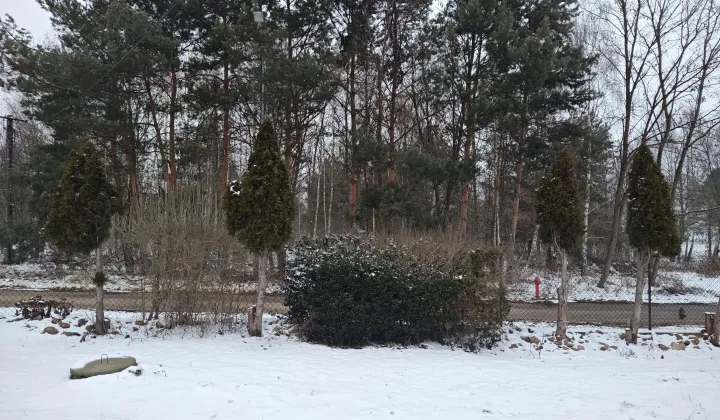 Działka rolno-budowlana Zelgoszcz Nowa Zelgoszcz, ul. Liściasta