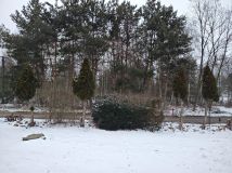 Działka rolno-budowlana Zelgoszcz, ul. Liściasta. Zdjęcie 3