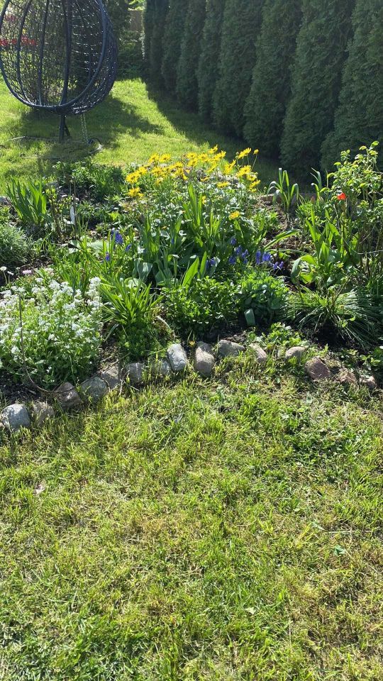 Działka rod Dzierzgoń. Zdjęcie 5