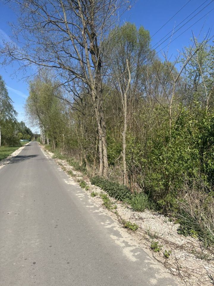Działka rolno-budowlana Studzieniec. Zdjęcie 1