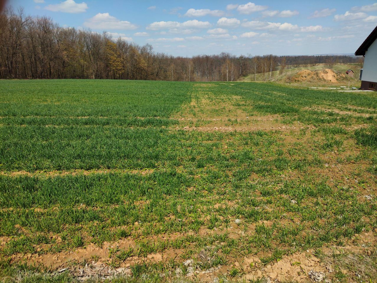 Działka budowlana Celiny. Zdjęcie 30