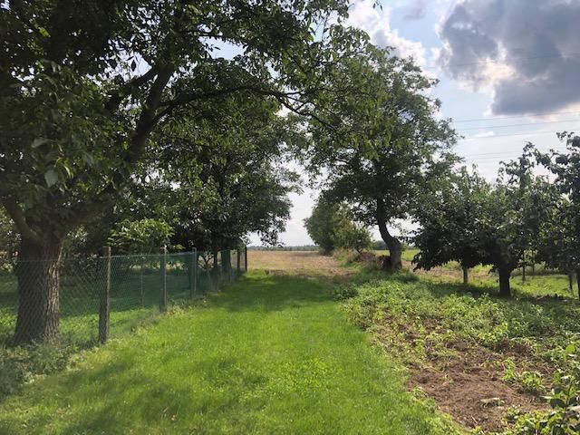 dom wolnostojący, 3 pokoje Jędrzejów. Zdjęcie 10