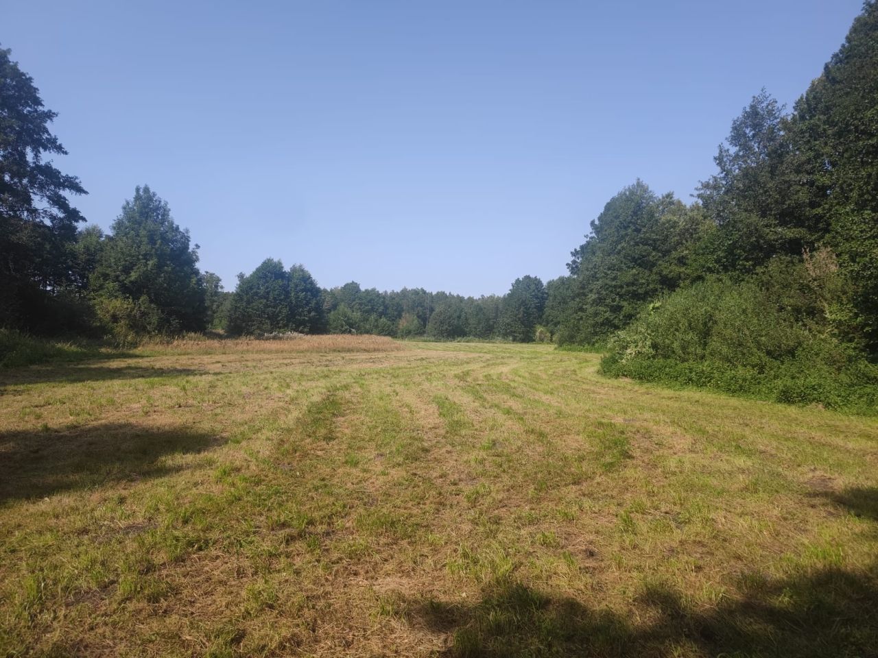 Działka rolno-budowlana Kopiec. Zdjęcie 2