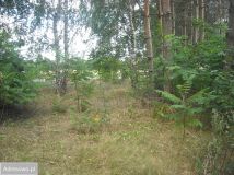 Działka budowlana Stare Koziminy