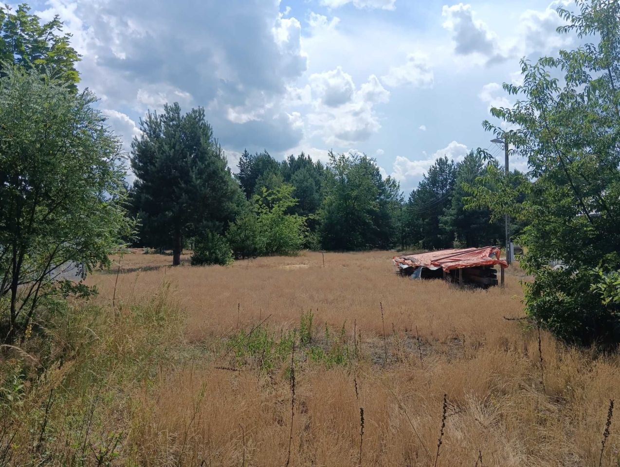 Działka rolna Rudnik nad Sanem. Zdjęcie 8