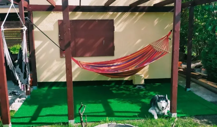 Działka rod Zabrze Biskupice, ul. Ogrodowa