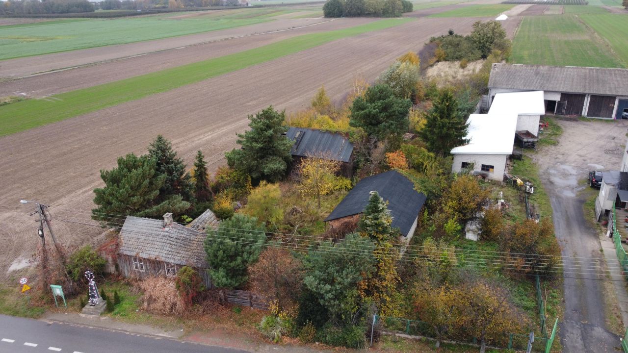 Działka rolno-budowlana Próchna. Zdjęcie 6