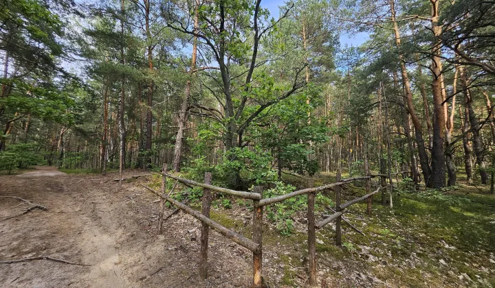 Działka inwestycyjna Warszawa Wesoła, ul. Prabucka