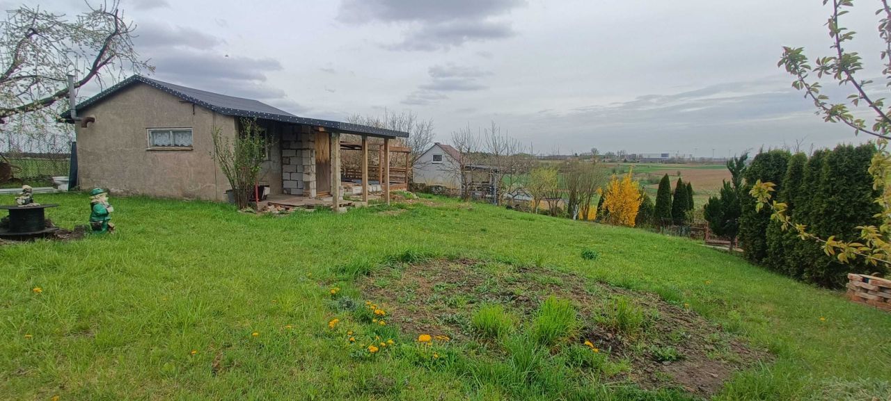 Działka rod Wieniec. Zdjęcie 4