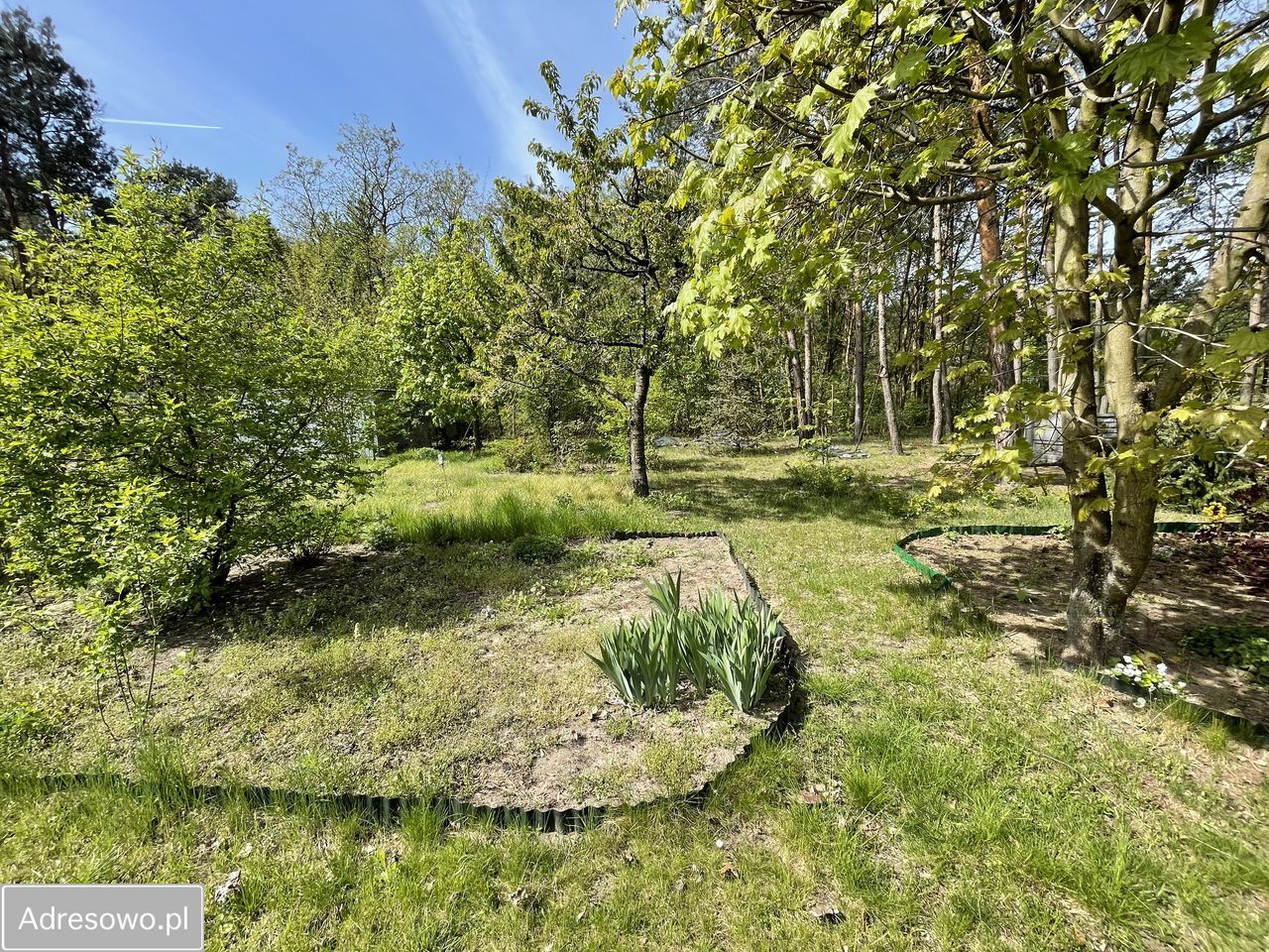 dom wolnostojący, 3 pokoje Zborów. Zdjęcie 12