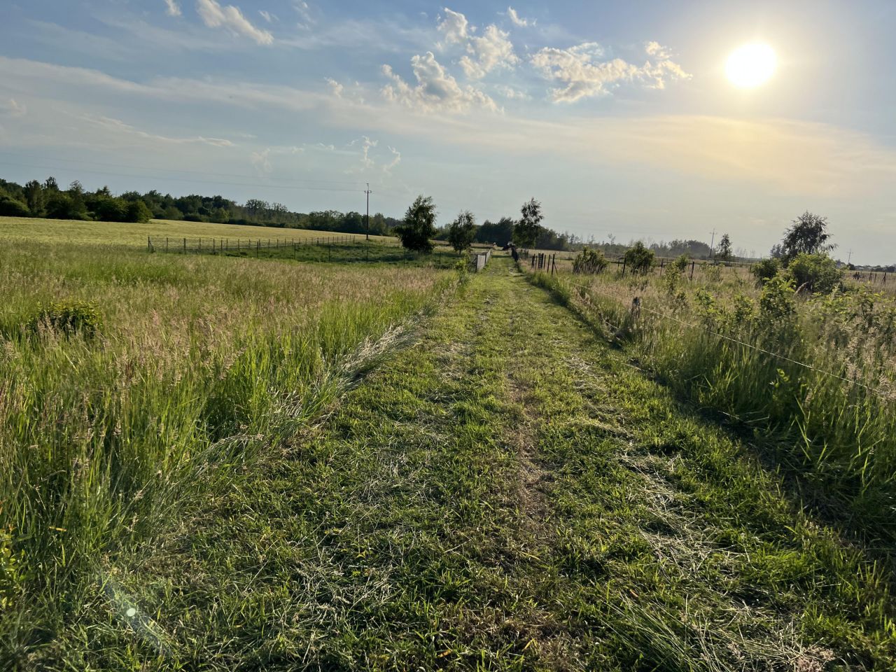 Działka rekreacyjna Krasne Ryczka. Zdjęcie 9