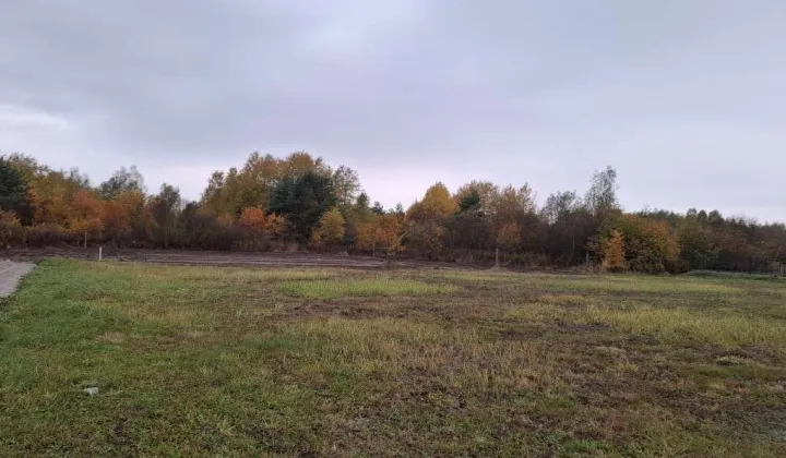 Działka rolno-budowlana Dębe Wielkie