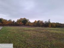 Działka rolno-budowlana Dębe Wielkie