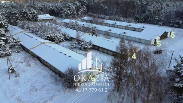 Działka inwestycyjna Wysoka Głogowska. Zdjęcie 5