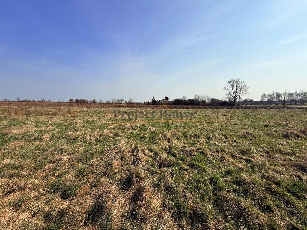 Działka inwestycyjna Kruszów. Zdjęcie 4