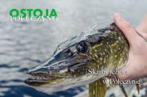 Działka budowlana Połęczyno. Zdjęcie 2