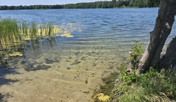 Działka budowlana Dąb Polski, ul. Liliowa