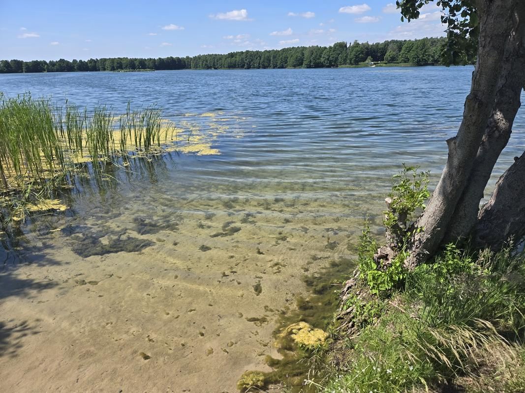 Działka budowlana Dąb Polski, ul. Liliowa. Zdjęcie 1