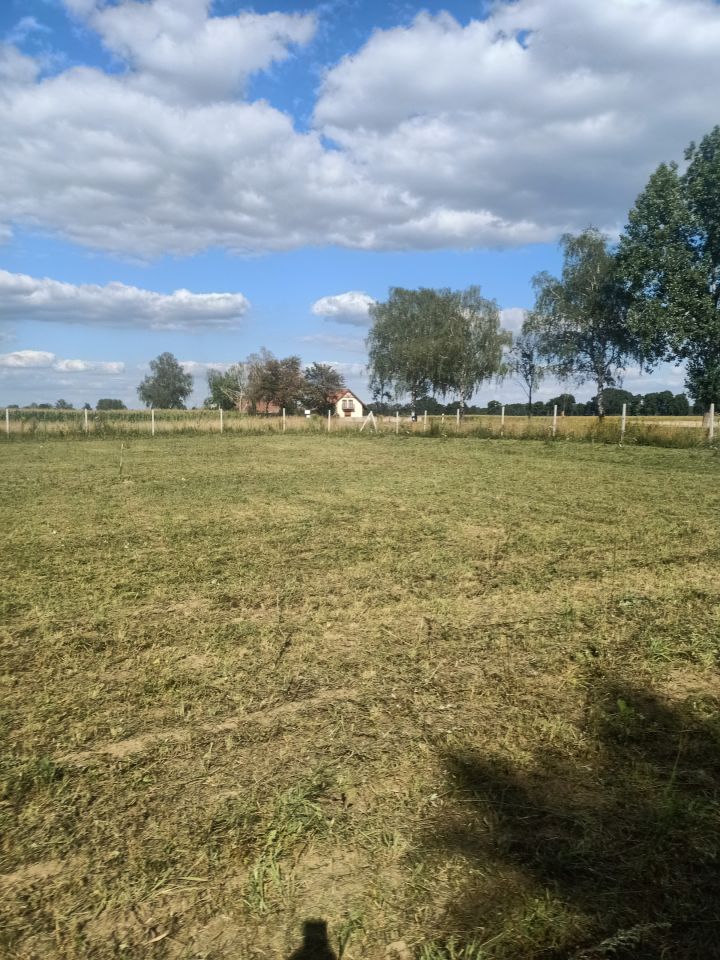 Działka rolno-budowlana Drołtowice. Zdjęcie 4