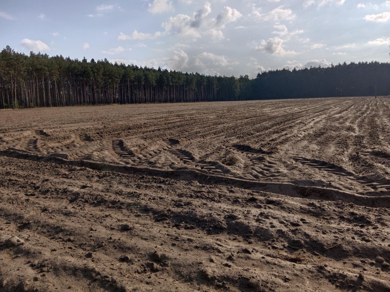 Działka rolna Nowy Kozłów Pierwszy. Zdjęcie 6