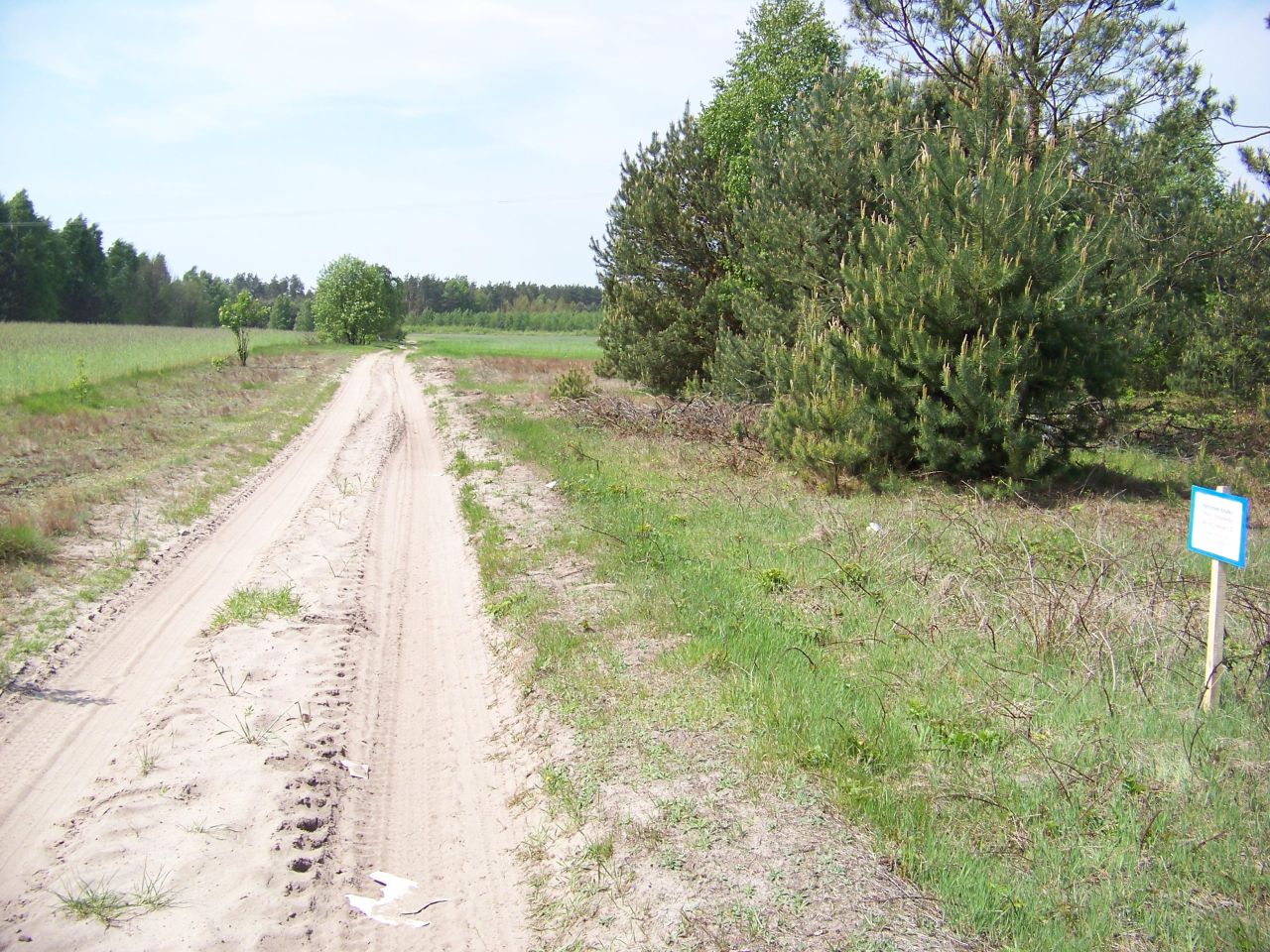 Działka rolna Olszyc Szlachecki. Zdjęcie 2