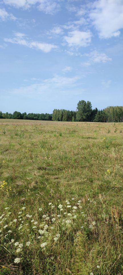 Działka rolno-budowlana Jastrząb, ul. Zamoście. Zdjęcie 5
