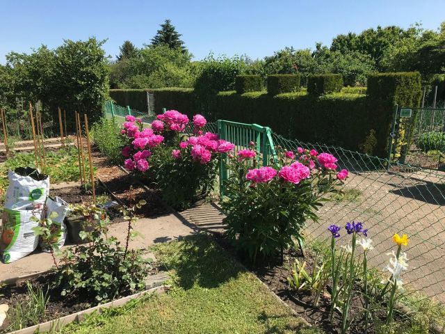 Działka rod Wrocław Krzyki. Zdjęcie 1