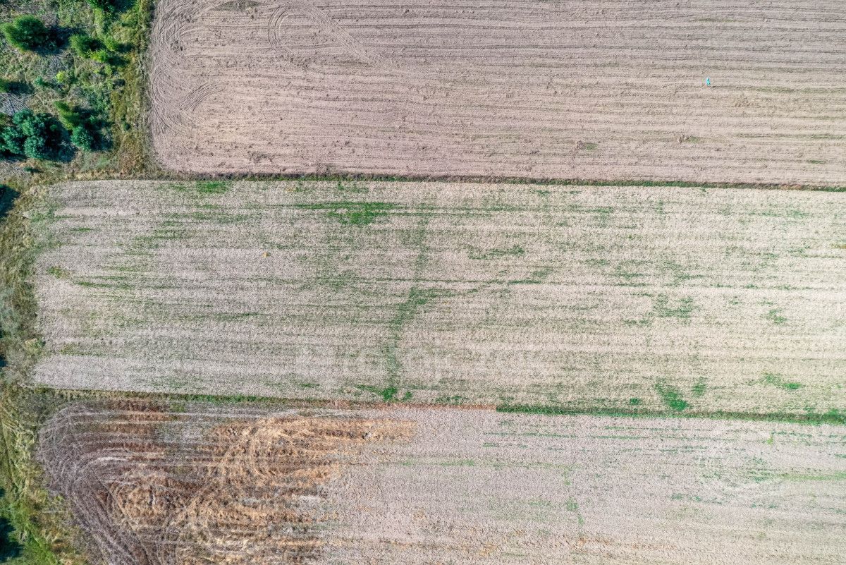 Działka inwestycyjna Łebcz, ul. dr. Augusta Oetkera. Zdjęcie 19