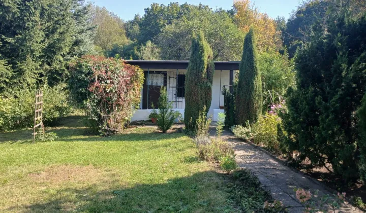 Działka rod Poznań Wilda, ul. Droga Dębińska