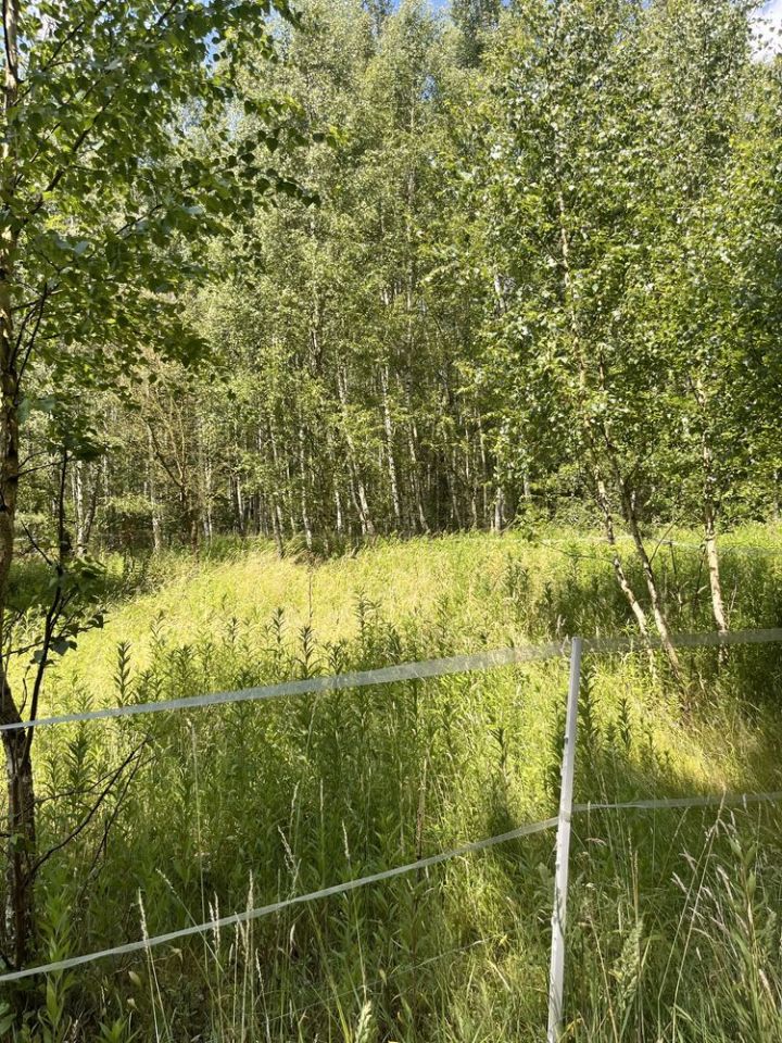 Działka rolna Pęgów, ul. Na Polance. Zdjęcie 5